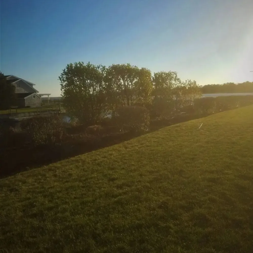 Affordable outdoor landscaping in Centereach, NY by Organic Care