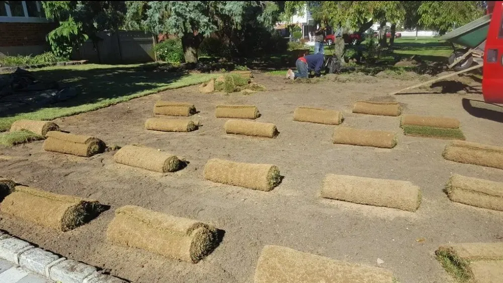 Local outdoor landscaping for homes in Centereach, NY by Organic Care