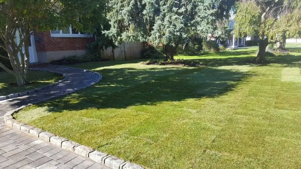 Expert landscape design in Centereach, NY - Organic Care