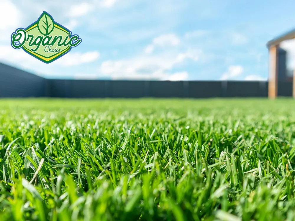 Custom landscape installation in Salt Lake City, UT by Organic Choice