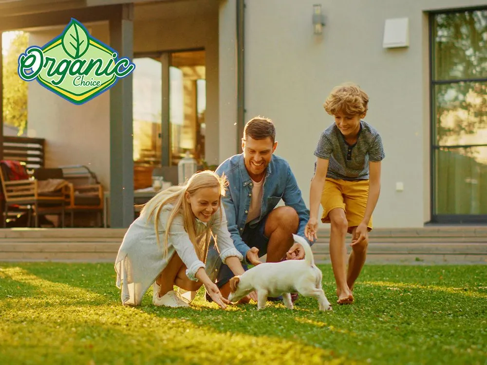 Local outdoor landscaping for year-round maintenance across Salt Lake City, UT - Organic Choice