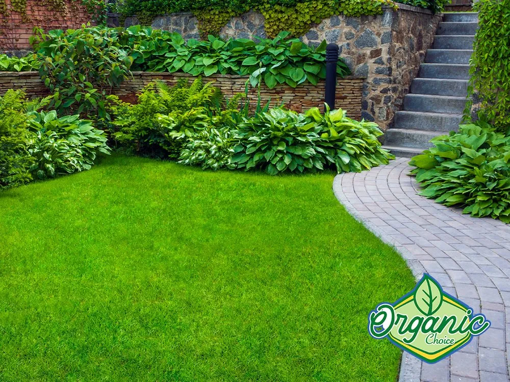 Local garden landscaping in Salt Lake City, UT - Organic Choice