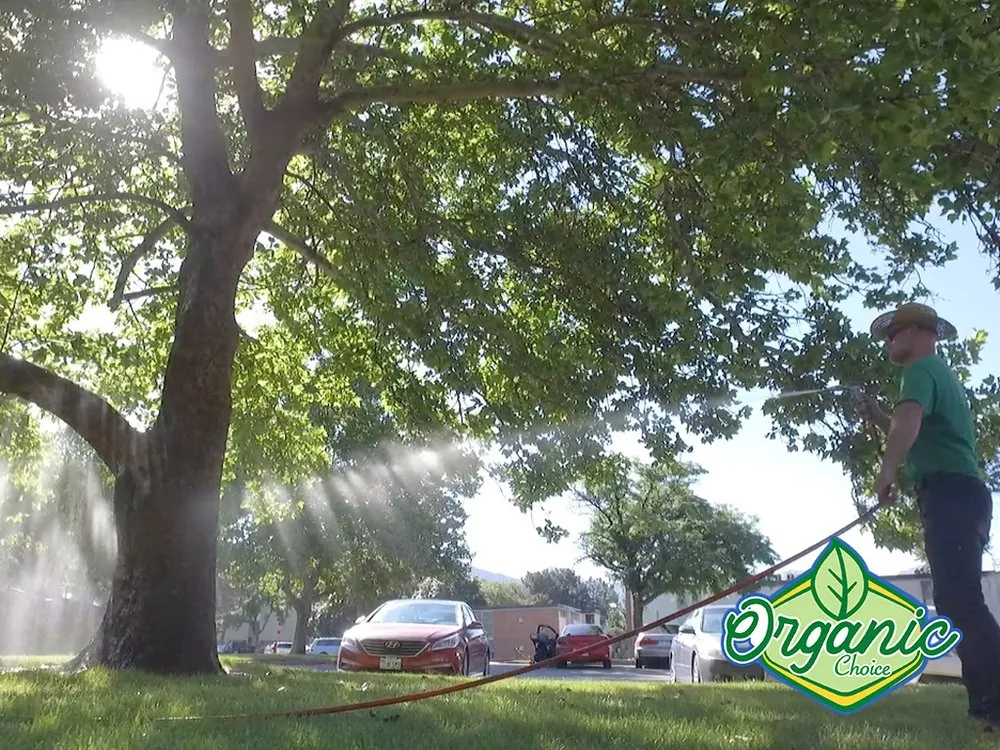 Custom garden landscaping in Salt Lake City, UT by Organic Choice