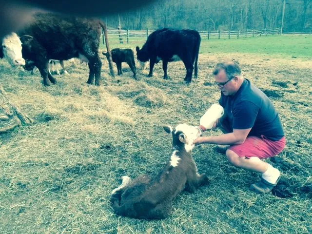 Expert yard maintenance for residential properties in Clinton, NJ by Organic Dutchman