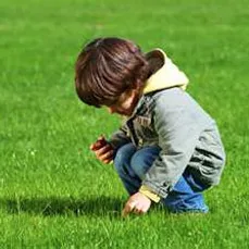 Top-rated landscape design in Clinton, NJ by Organic Dutchman