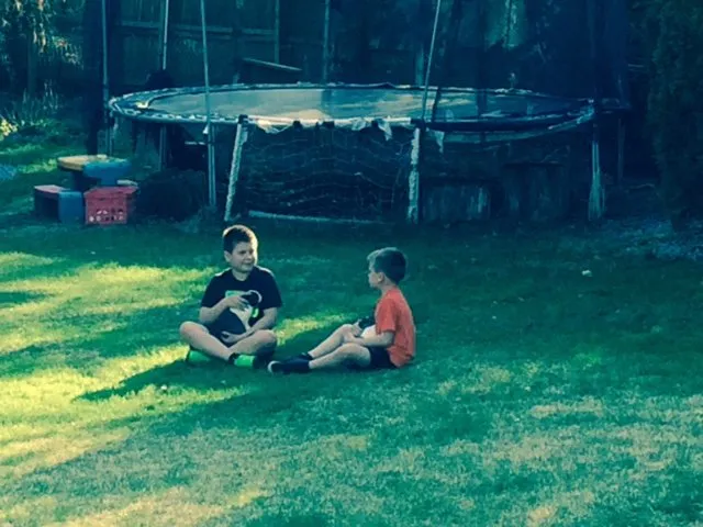 Reliable landscape installation in Clinton, NJ by Organic Dutchman