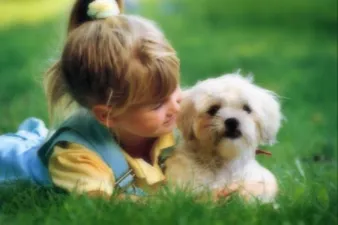 Reliable landscape design in Clinton, NJ - Organic Dutchman