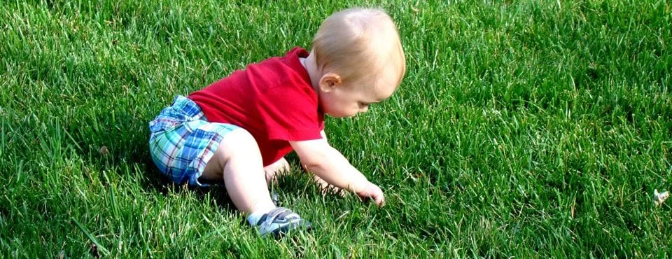 Top-rated yard maintenance in St. Augustine, FL by Organic EarthWorks