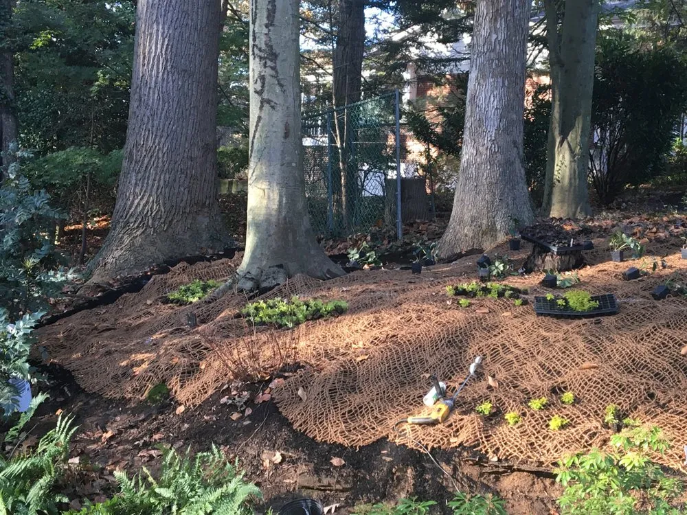 Custom yard maintenance near you across Arlington, VA - Organic Edible Gardens