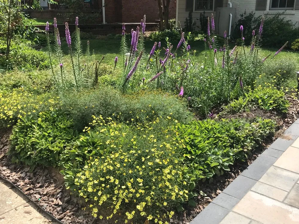 Top-rated lawn care service for residential properties in Arlington, VA by Organic Edible Gardens