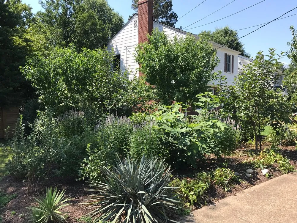 Professional residential landscaping for outdoor upgrades across Arlington, VA - Organic Edible Gardens