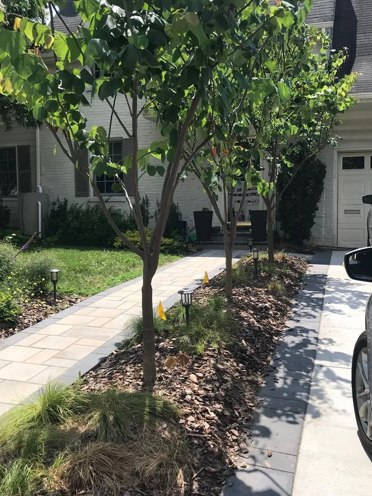 Reliable yard maintenance for beautiful yards in Arlington, VA by Organic Edible Gardens