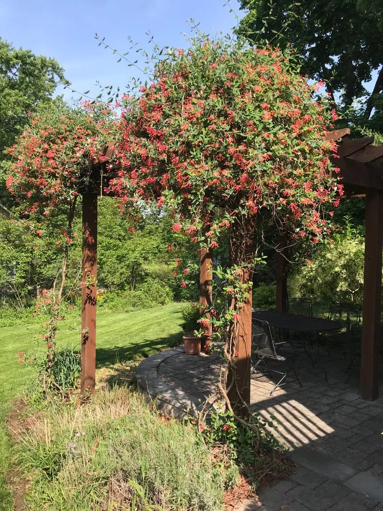 Reliable garden landscaping in Arlington, VA - Organic Edible Gardens