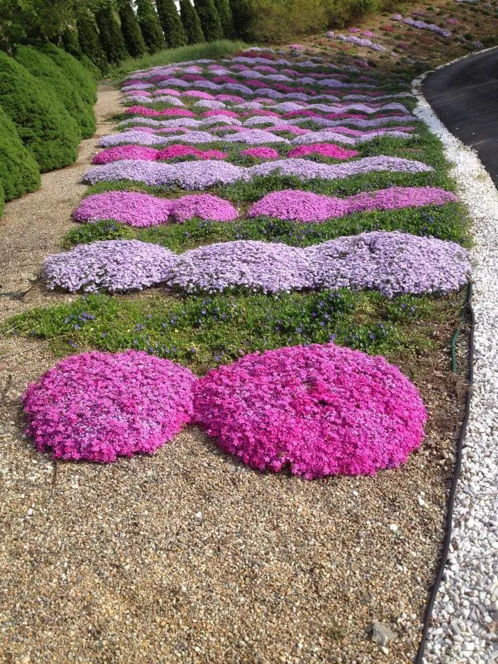 Reliable landscaping services in Marlborough, MA by Organic Gardening & Landscaping