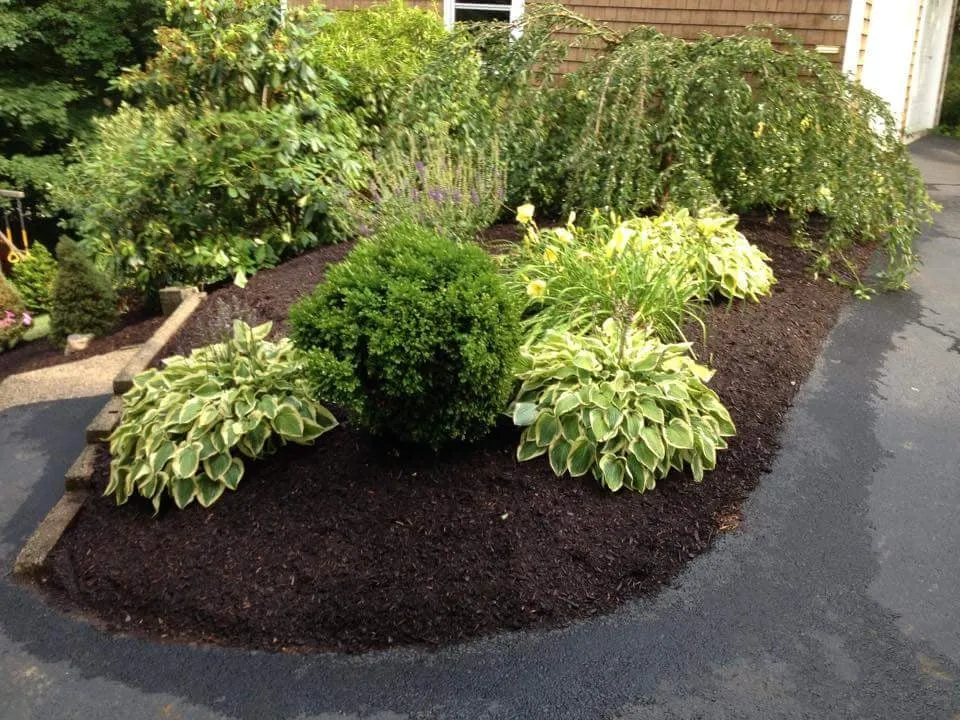 Trusted lawn mowing service for year-round maintenance across Marlborough, MA - Organic Gardening & Landscaping