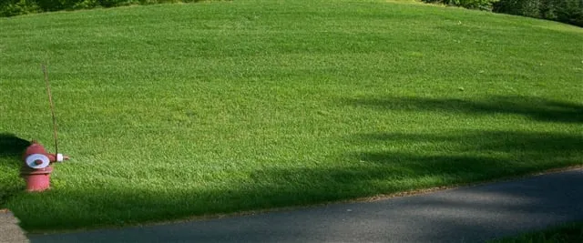 Local lawn mowing service experts serving Marlborough, MA - Organic Gardening & Landscaping