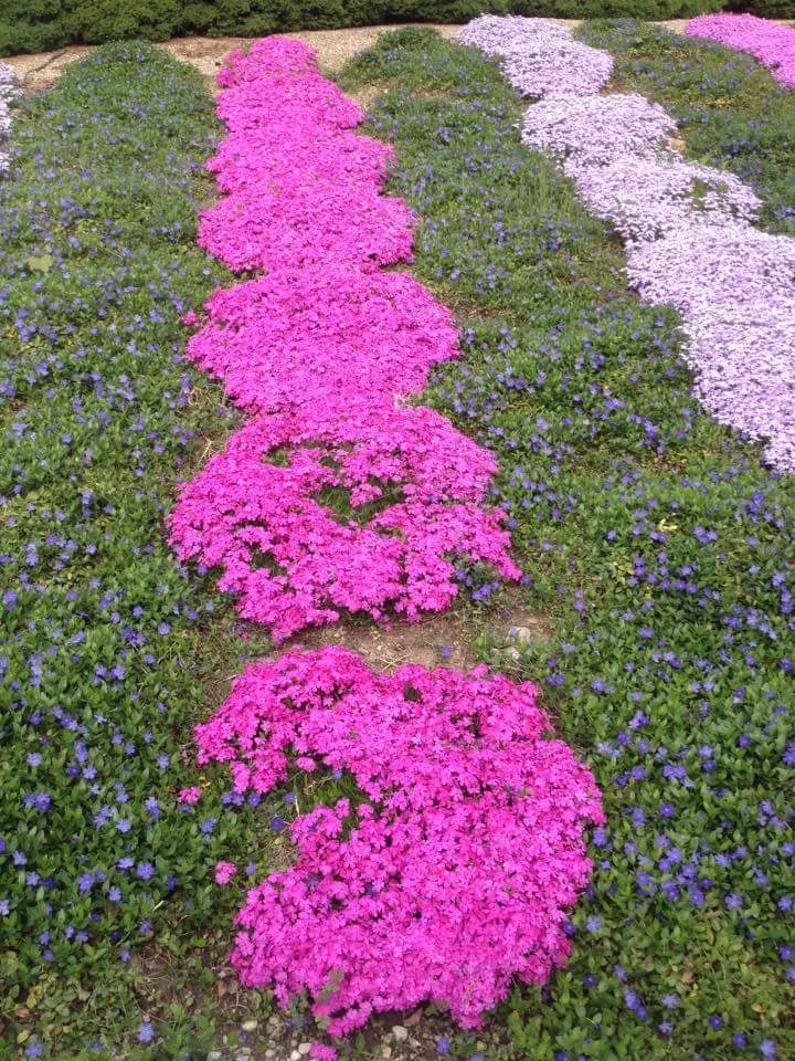 Local landscape design experts serving Marlborough, MA - Organic Gardening & Landscaping