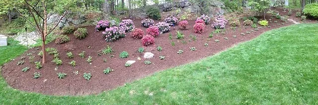 Expert yard cleanup service in Marlborough, MA - Organic Gardening & Landscaping