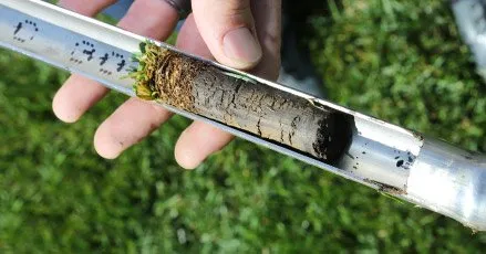 Custom yard cleanup service experts serving Osseo, MN - Organic Grass Care