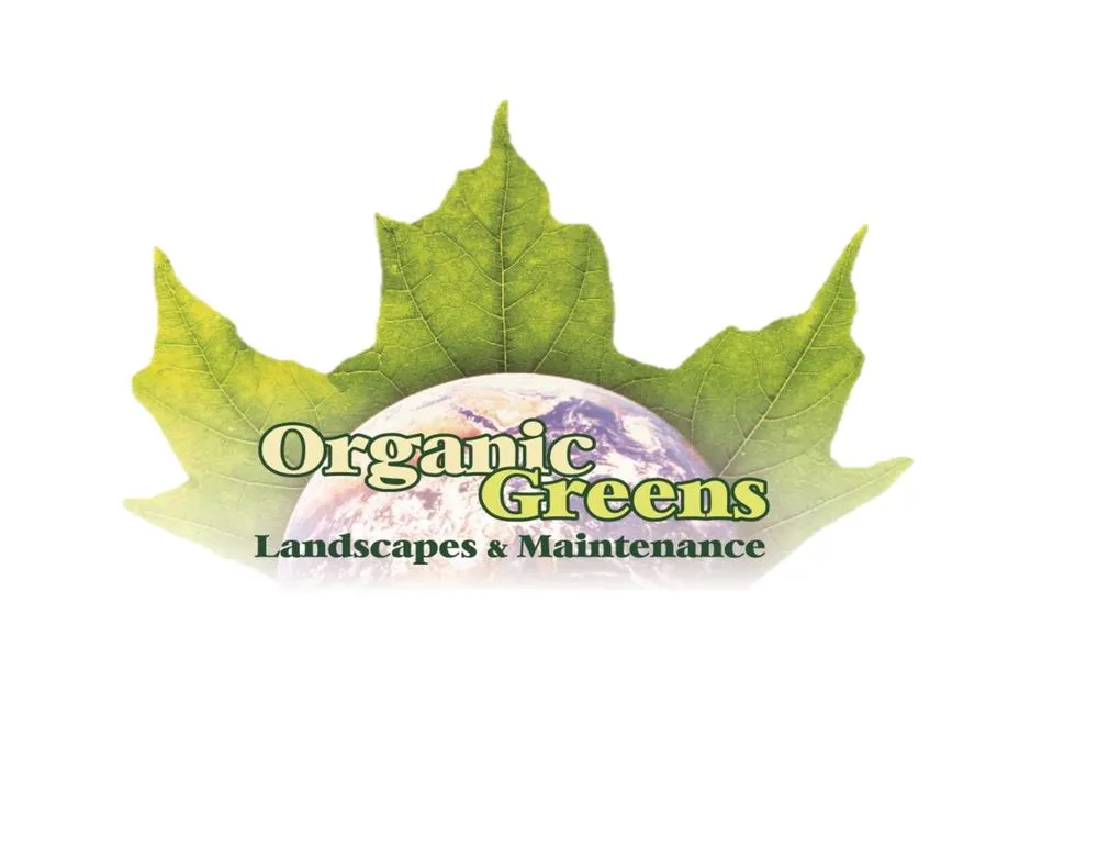 Expert lawn mowing service in Oxnard, CA - Organic Greens Landscapes