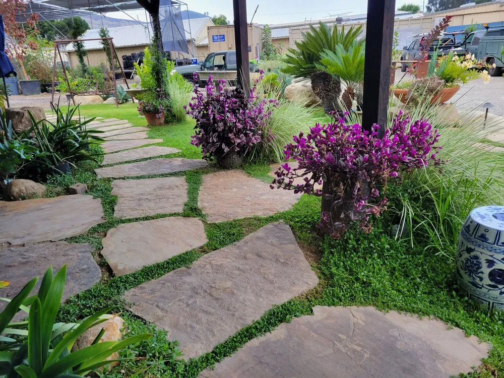 Trusted yard maintenance for beautiful yards across Oxnard, CA - Organic Greens Landscapes