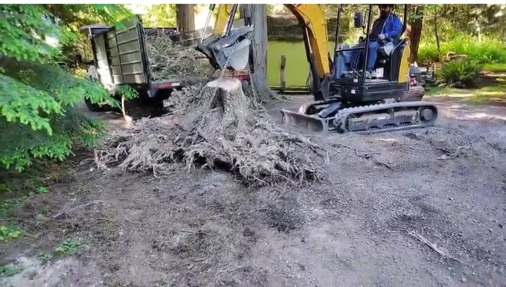 Custom residential landscaping experts serving Poulsbo, WA - Organic Landscaping