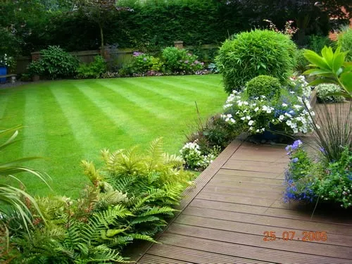 Affordable lawn mowing service in Arlington, VA - Organic Lawn Care