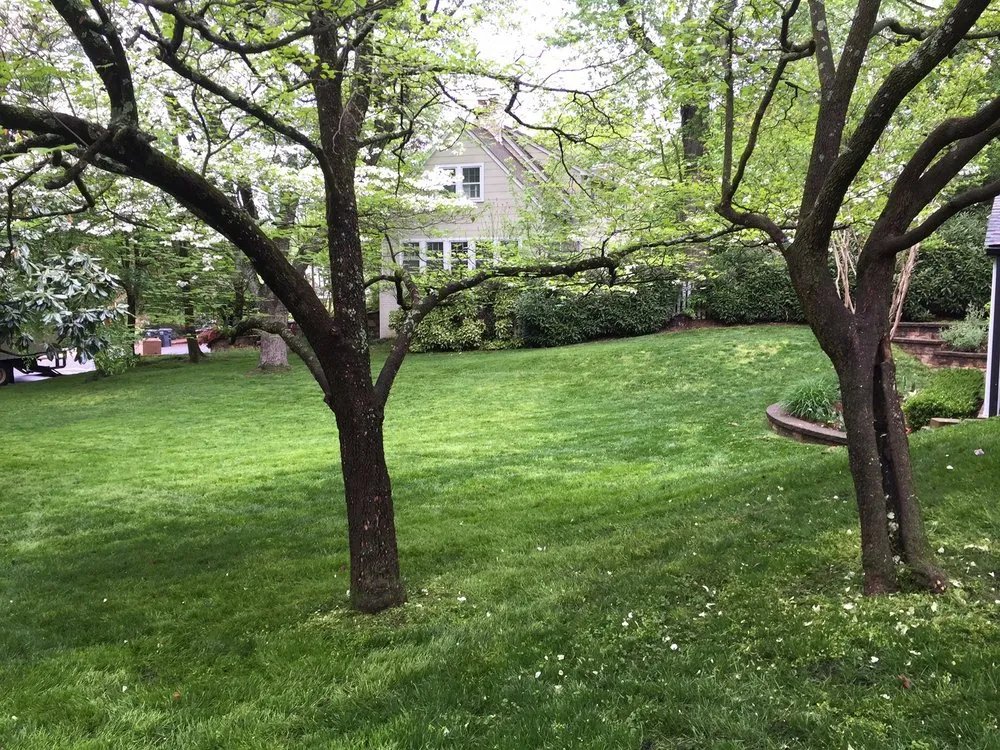 Professional residential landscaping for year-round maintenance across Arlington, VA - Organic Lawn Care