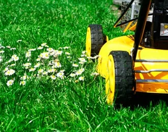 Professional residential landscaping in Arlington, VA - Organic Lawn Care