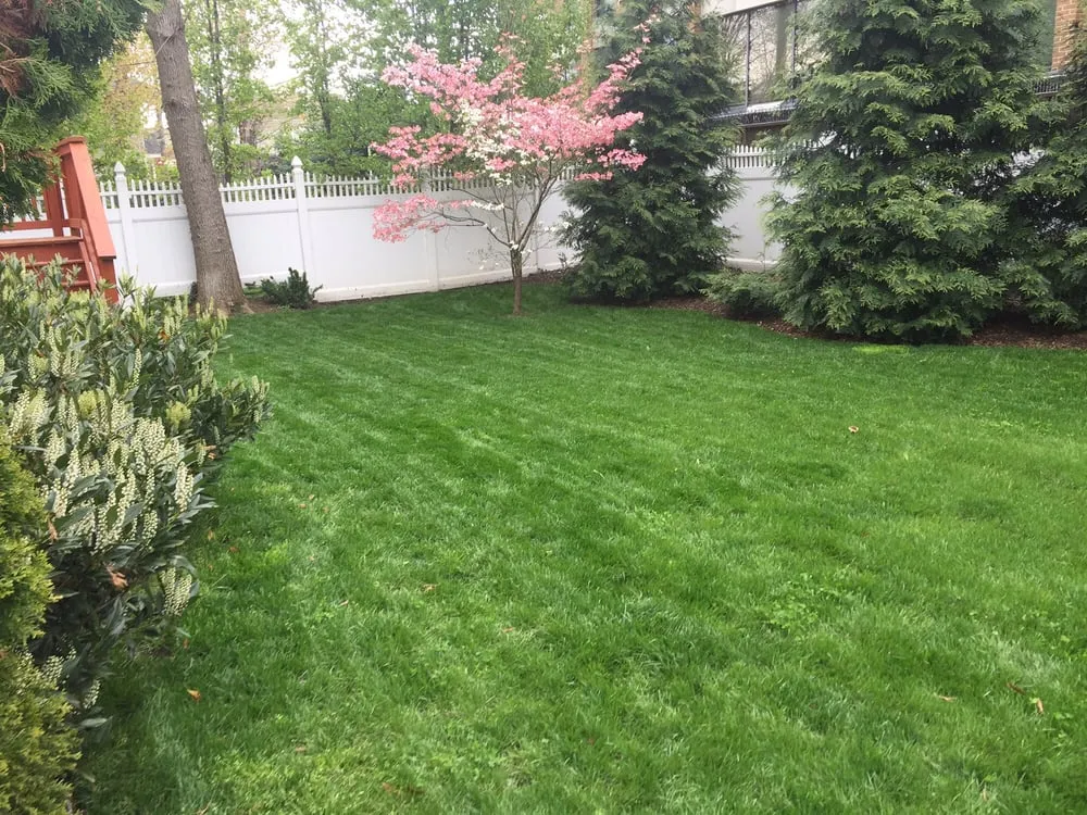 Local lawn care service near you across Arlington, VA - Organic Lawn Care