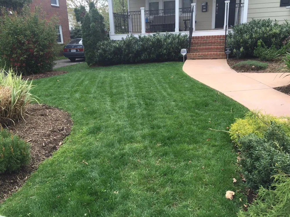 Local lawn care service in Arlington, VA - Organic Lawn Care