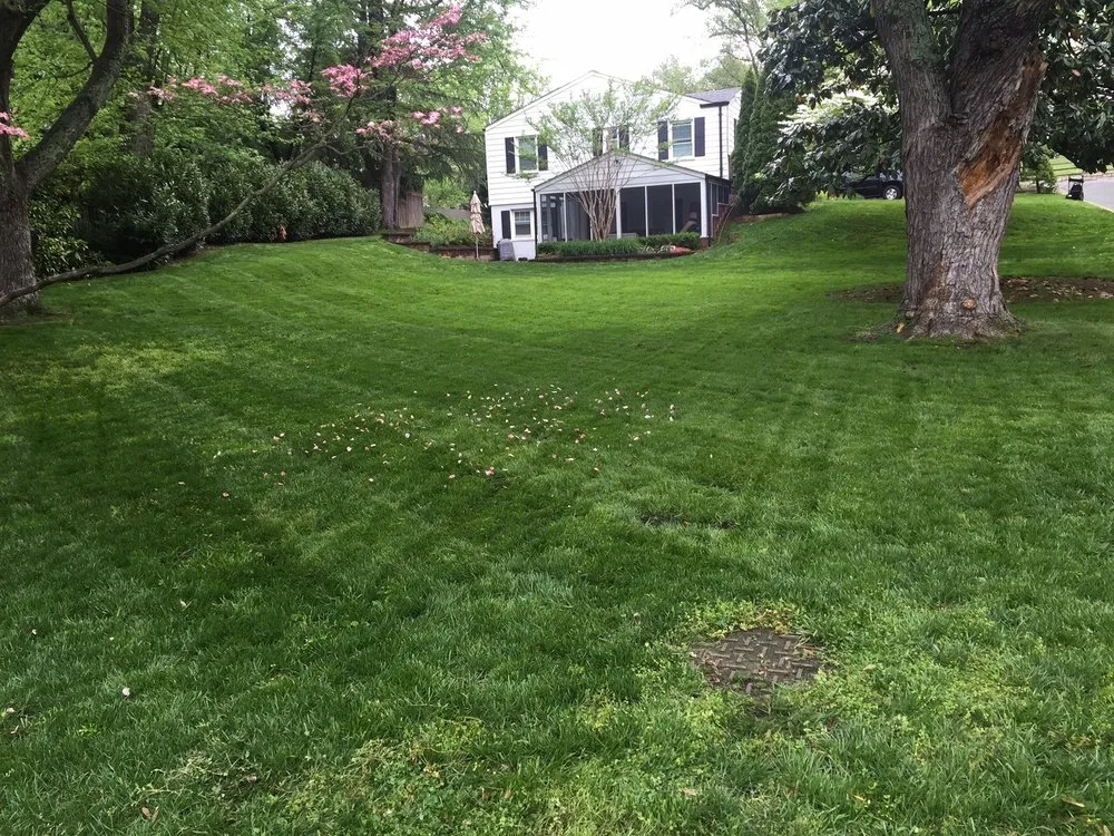 Reliable residential landscaping in Arlington, VA - Organic Lawn Care