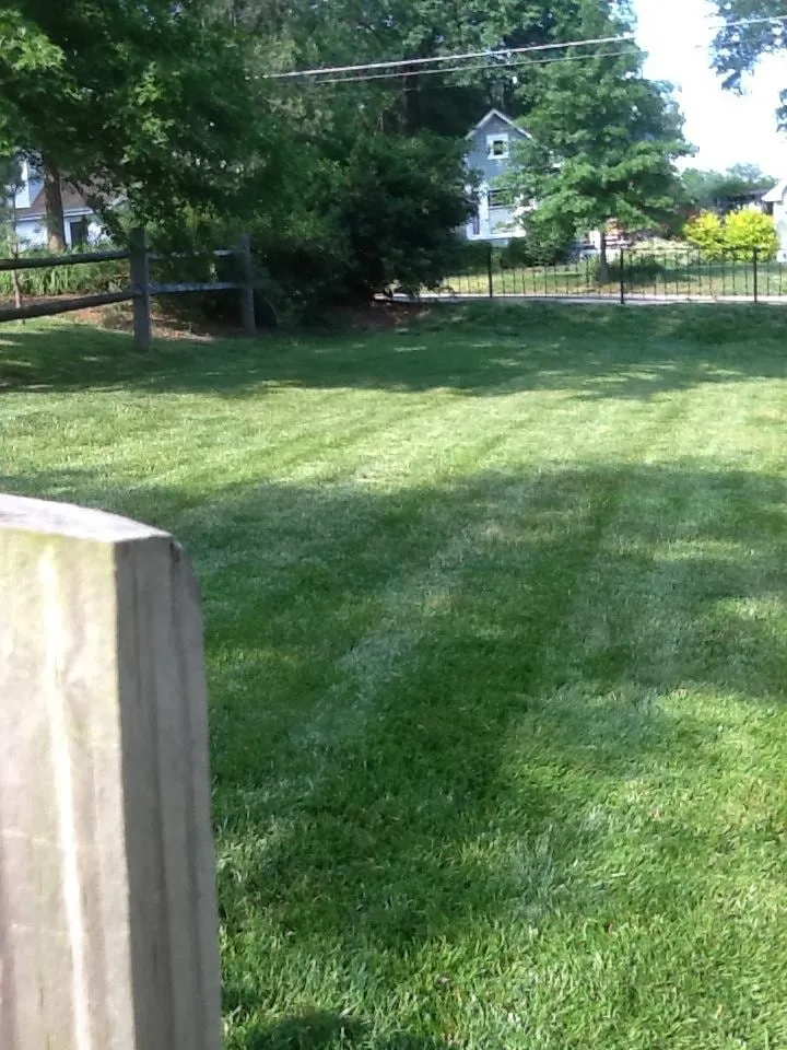 Custom yard maintenance for beautiful yards in Arlington, VA by Organic Lawn Care