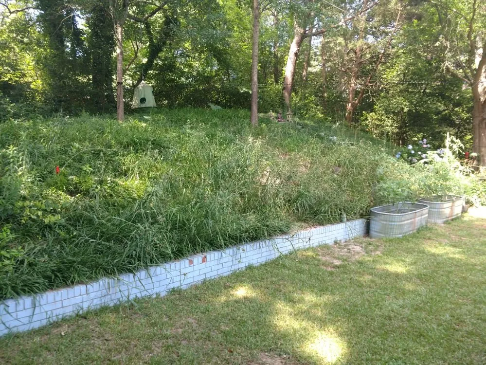 Expert yard cleanup service in Oxford, MS - Organic Lawn Solutions