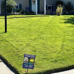 Custom residential landscaping experts serving Baltimore, MD - Organic Lawns
