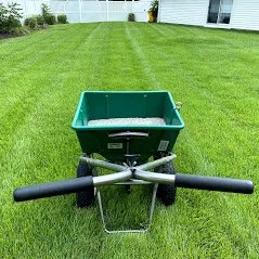 Top-rated landscaping services in Baltimore, MD by Organic Lawns