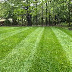 Local lawn care service in Baltimore, MD by Organic Lawns