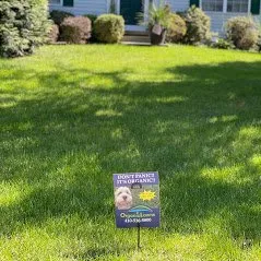 Reliable yard maintenance with custom design in Baltimore, MD by Organic Lawns