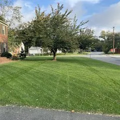 Professional yard cleanup service near you across Baltimore, MD - Organic Lawns