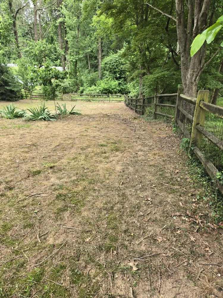 Professional garden landscaping for outdoor upgrades in Baltimore, MD by Organic Lawns