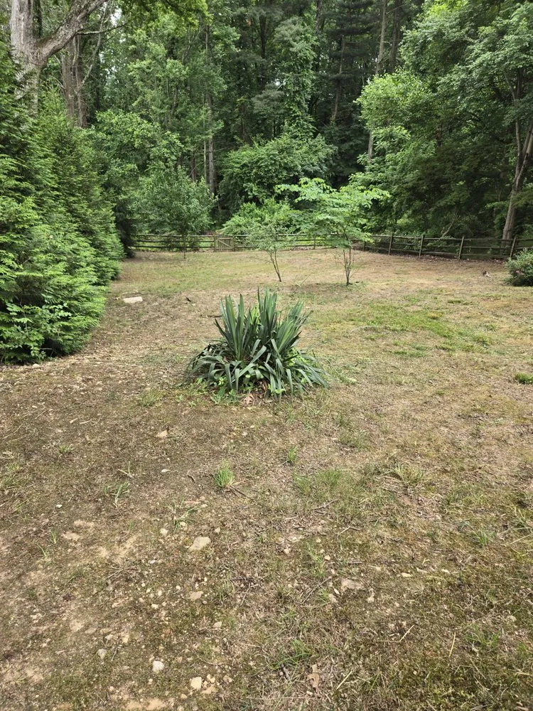 Custom yard maintenance for beautiful yards across Baltimore, MD - Organic Lawns