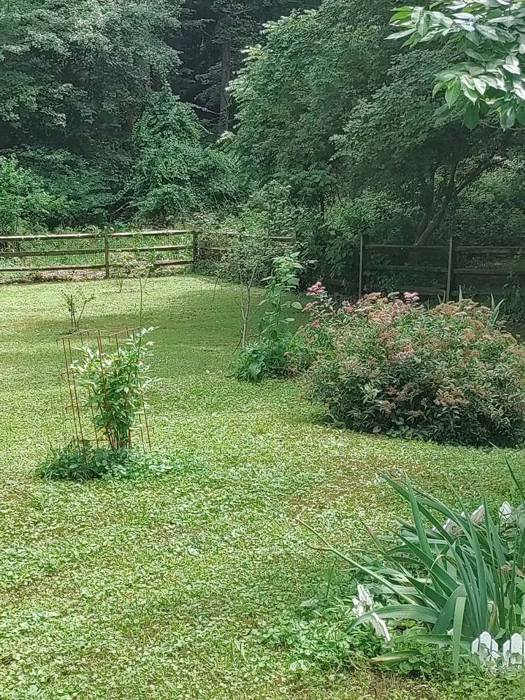 Professional landscape installation for outdoor upgrades in Baltimore, MD by Organic Lawns