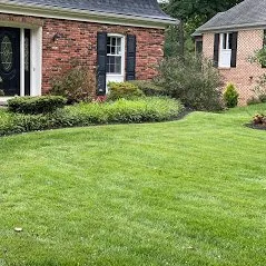 Trusted lawn care service in Baltimore, MD - Organic Lawns