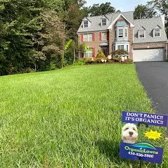 Professional yard cleanup service in Baltimore, MD by Organic Lawns