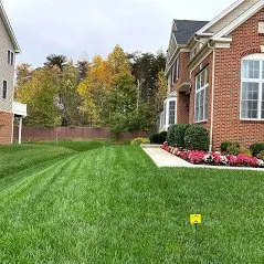 Top-rated yard cleanup service experts serving Baltimore, MD - Organic Lawns