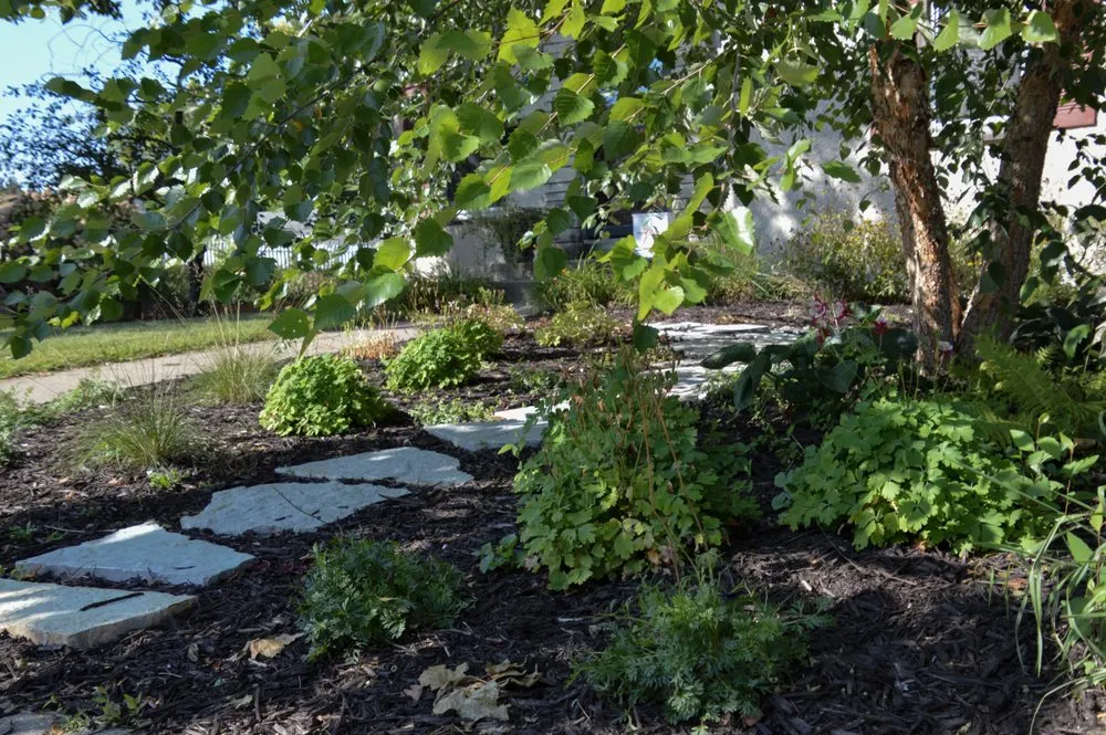 Expert lawn mowing service in Bloomington, MN - Organic Lawns by Lunseth