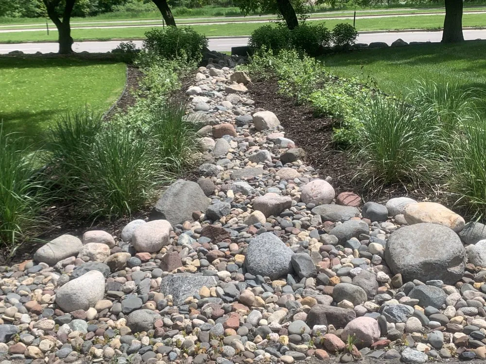 Expert yard maintenance in Bloomington, MN - Organic Lawns by Lunseth