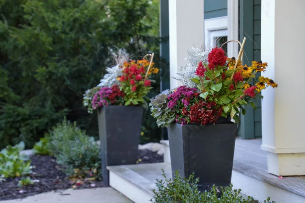 Top-rated landscaping services in Bloomington, MN - Organic Lawns by Lunseth