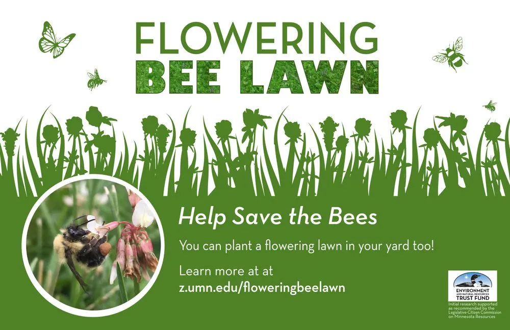 Expert landscape installation in Bloomington, MN by Organic Lawns by Lunseth