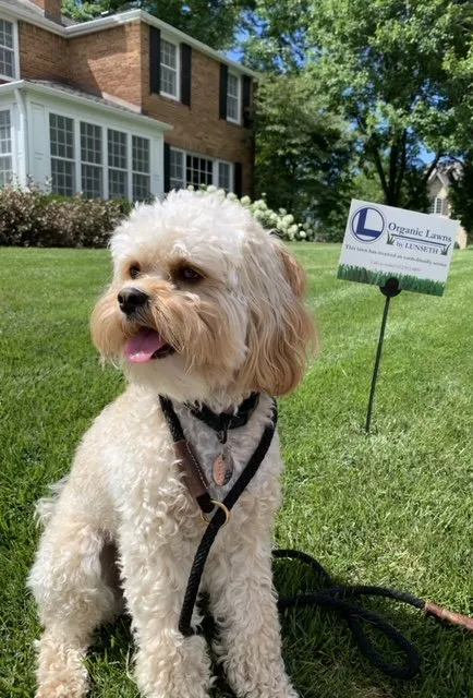 Expert garden landscaping experts serving Bloomington, MN - Organic Lawns by Lunseth